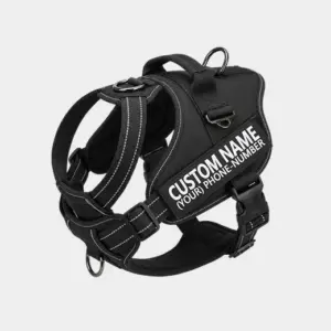 Dog Harness